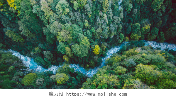 俯拍一片葱郁的森林和弯弯的河流河流和森林在格鲁吉亚的鸟瞰图